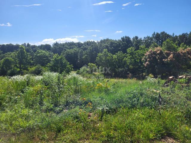 ISTRIA, GROŽNJAN - Building plot with project