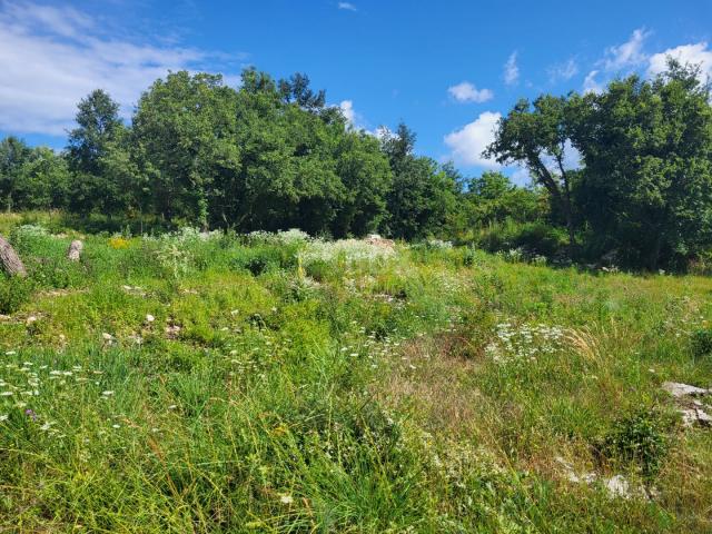 ISTRIA, GROŽNJAN - Building plot with project