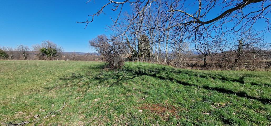 ISTRA, BARBAN - Građevinsko zemljište otvorenog pogleda, rub naselja