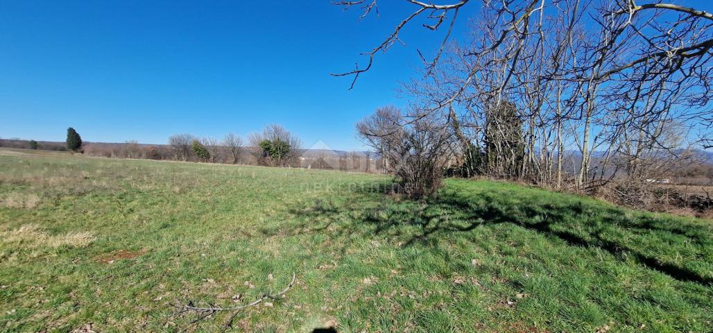 ISTRA, BARBAN - Građevinsko zemljište otvorenog pogleda, rub naselja