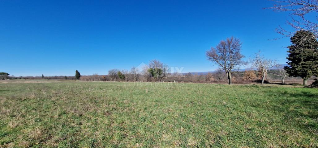 ISTRA, BARBAN - Građevinsko zemljište otvorenog pogleda, rub naselja