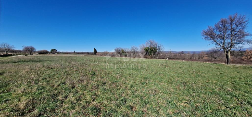 ISTRA, BARBAN - Građevinsko zemljište otvorenog pogleda, rub naselja