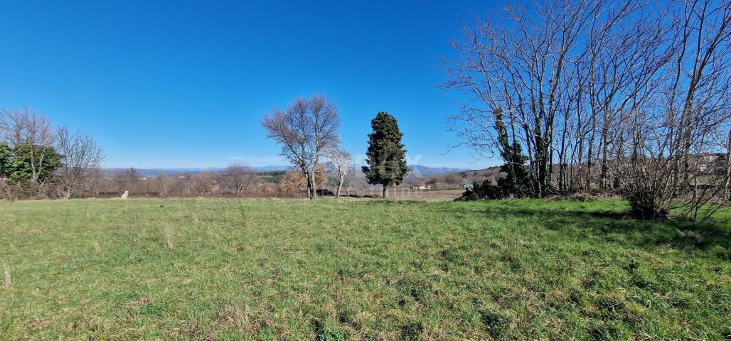 ISTRA, BARBAN - Građevinsko zemljište otvorenog pogleda, rub naselja