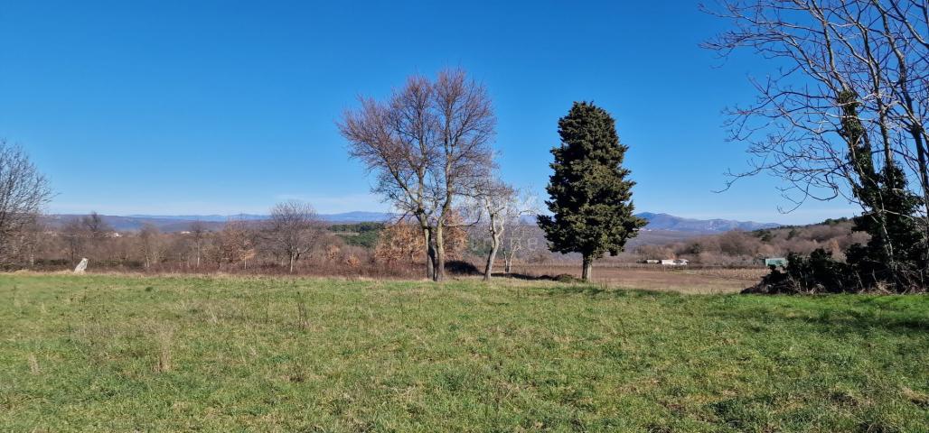 ISTRA, BARBAN - Građevinsko zemljište otvorenog pogleda, rub naselja