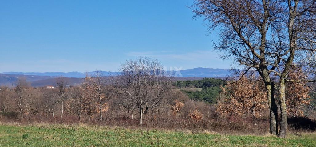 ISTRA, BARBAN - Građevinsko zemljište otvorenog pogleda, rub naselja