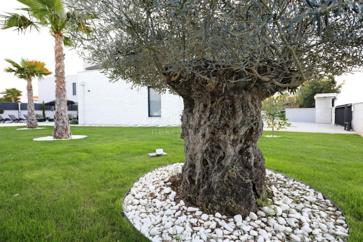 ZADAR, ZATON – Einzugsfähige und hervorragend eingerichtete Villa mit beheiztem Pool und großem Gart