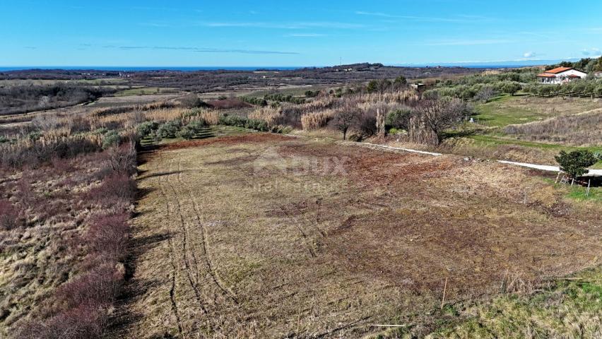 ISTRA, BUJE - Građevinsko zemljište s panoramskim pogledom