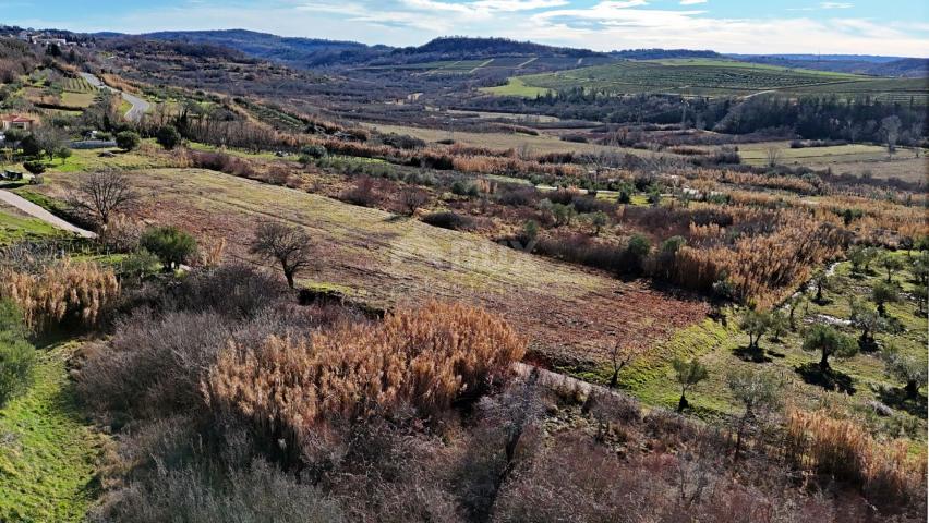 ISTRA, BUJE - Građevinsko zemljište s panoramskim pogledom