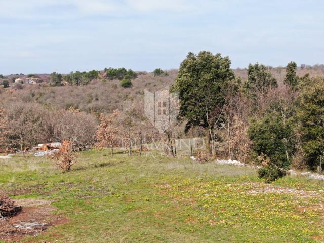 Barban, okolica, građevinski teren sa ishodovanom građevinskom dozvolom