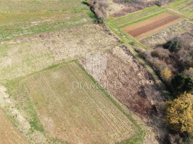 Pazin, surroundings, building plot in a quiet settlement