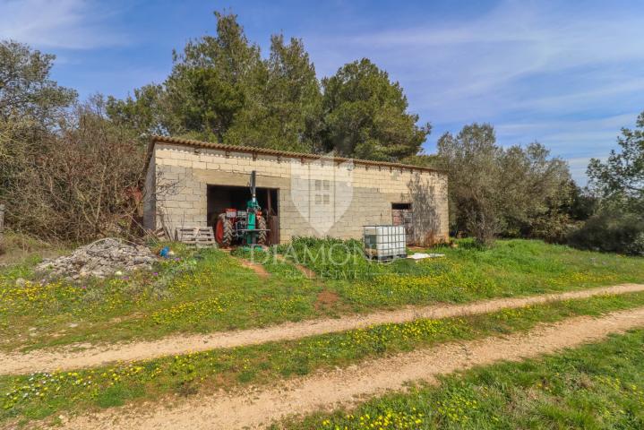 Rovinj, okolica, stancija s pogledom na more