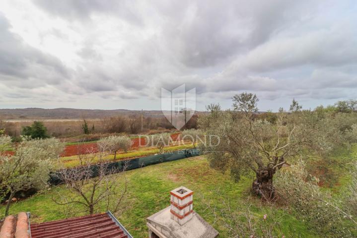 Kanfanar, surroundings, house in a prime position surrounded by greenery