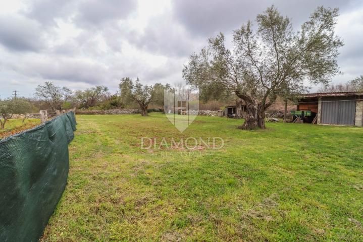 Kanfanar, surroundings, house in a prime position surrounded by greenery