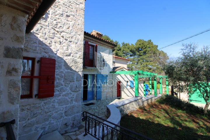 Labin, surroundings, beautiful autochthonous holiday house.