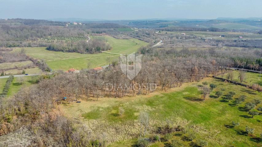 Buje, okolica! Prostrano zemljište sa potencijalom za investiciju