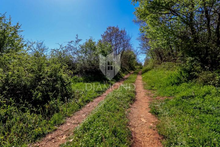 A rarity on the market! Secluded land near Svetvinčent