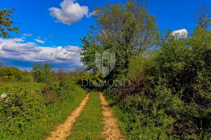 A rarity on the market! Secluded land near Svetvinčent