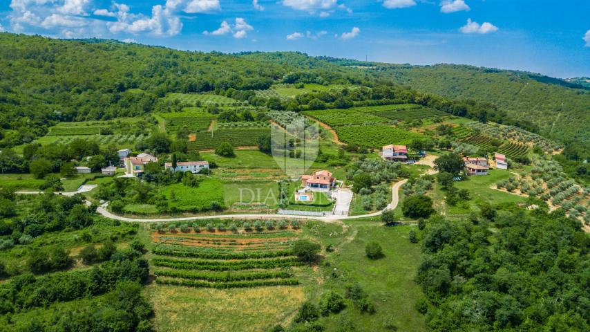 Motovun, okolica! Zemljište u T2 zoni sa prekrasnim pogledom!