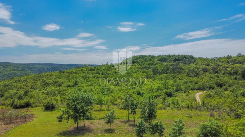 Grožnjan area, Istrian house with a large garden in a quiet location