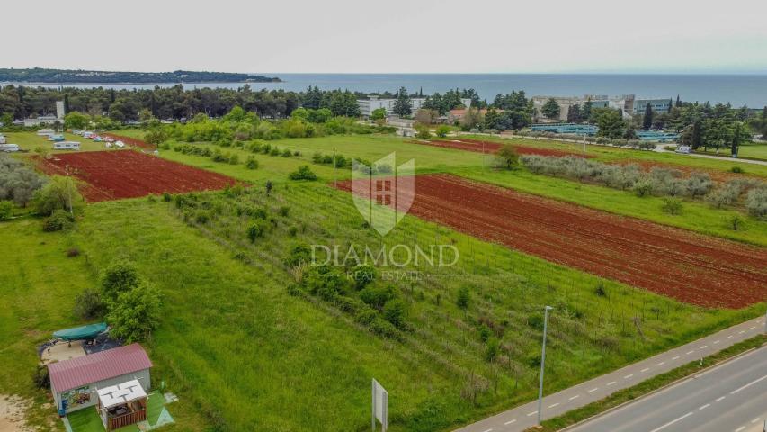 Novigrad, spacious land for investment