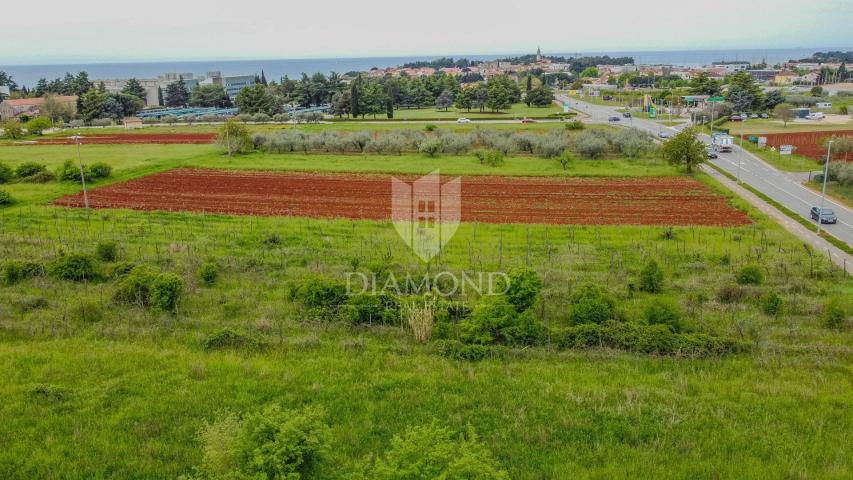 Novigrad, spacious land for investment