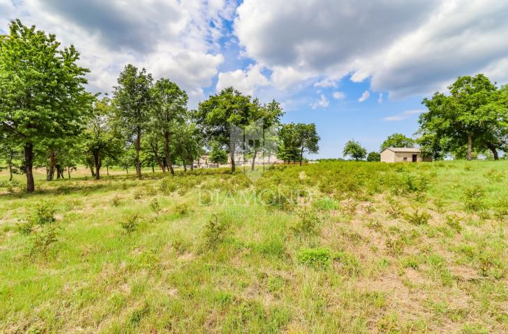 Poreč, surroundings, spacious building land for building houses!