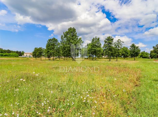 Poreč, surroundings, spacious building land for building houses!