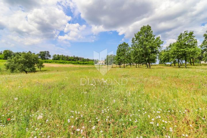 Poreč, surroundings, spacious building land for building houses!