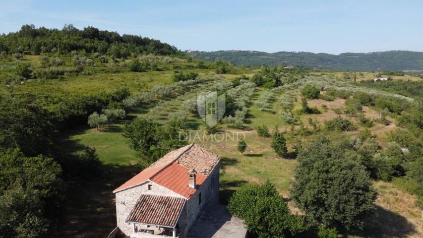 Grožnjan, okolica! Imanje sa velikim zemljištem!