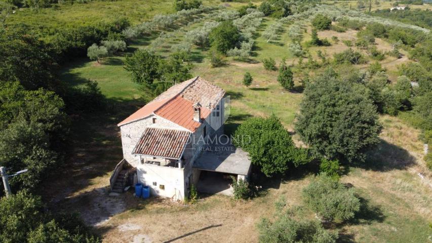 Grožnjan, okolica! Imanje sa velikim zemljištem!