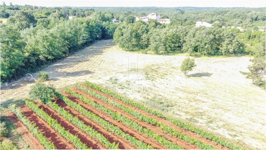 Istrien, Krnica, Umgebung, Grundstücke mit Potenzial