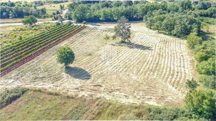 Istrien, Krnica, Umgebung, Grundstücke mit Potenzial