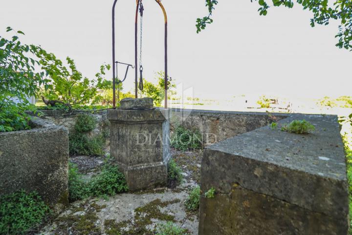 Porec, surroundings of houses with a large garden!