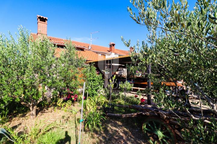 Poreč, surroundings, nice stone house in a quiet place!