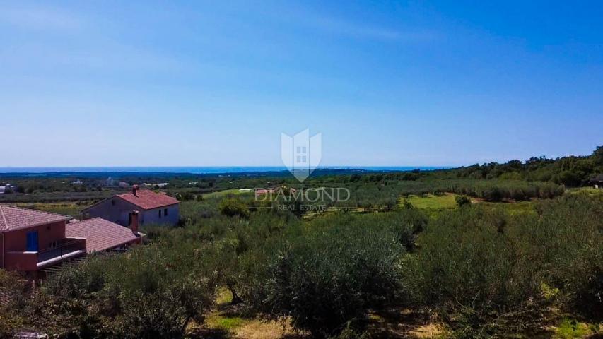 Poreč, Umgebung, interessante Villa mit Meerblick!