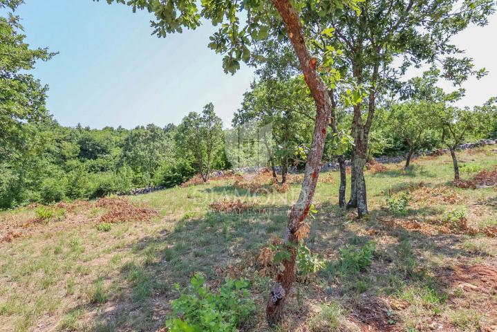 Spacious land in a quiet location near Svetvinčent