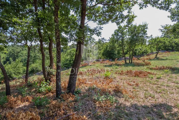 Spacious land in a quiet location near Svetvinčent