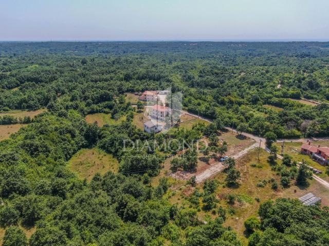 Svetvinčenat, surroundings, land suitable for several projects