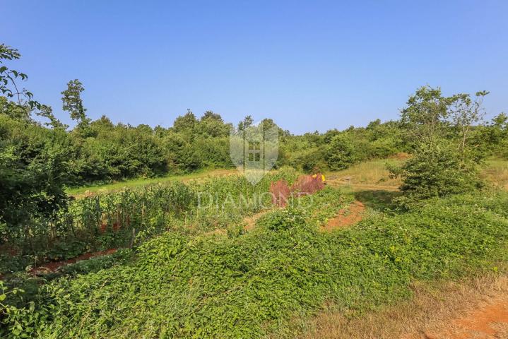 Svetvinčenat, surroundings, land for the construction of several buildings