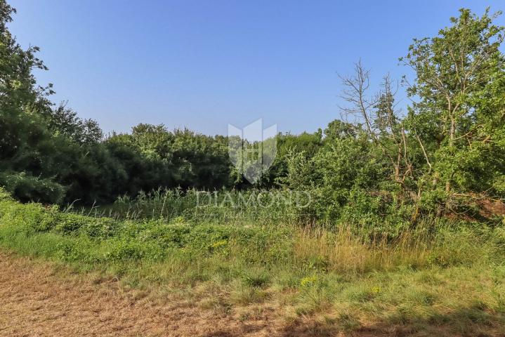 Svetvinčenat, surroundings, land for the construction of several buildings