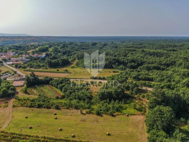 Svetvinčenat, surroundings, land for the construction of several buildings