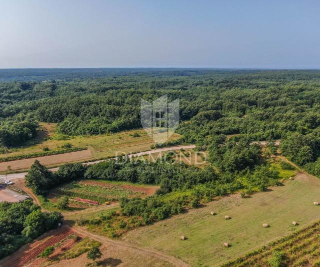 Svetvinčenat, surroundings, land for the construction of several buildings