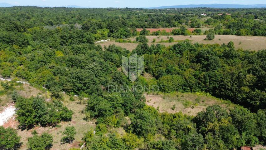 Barban. okolica, građevinsko zemljište sa ishodovanom građevinskom dozvolom