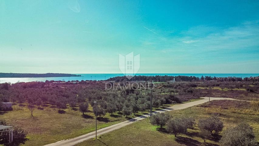 House Novigrad with a beautiful view of the sea, 234m2