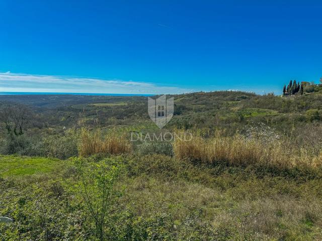 Buje, okolica. Zemljište sa panoramskim pogledom i građevinskom dozvolom!