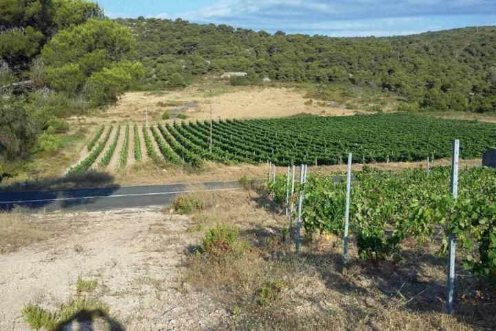 Vis, Kulor/Smokova, atraktivno poljoprivredno zemljište površine 23450 m2 sa pogledom na more