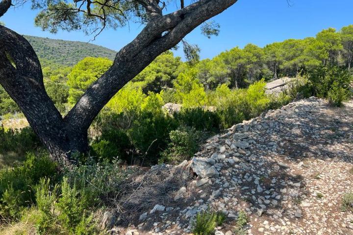 Vis, Kulor/Smokova, atraktivno poljoprivredno zemljište površine 23450 m2 sa pogledom na more