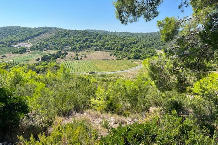 Vis, Kulor/Smokova, atraktivno poljoprivredno zemljište površine 23450 m2 sa pogledom na more