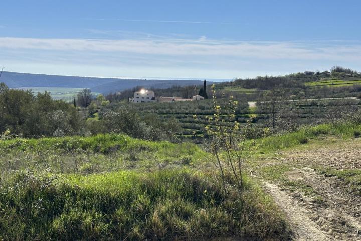 Istra, Buje - građevinsko zemljište 1335 m2 - pogled na more i zelenilo