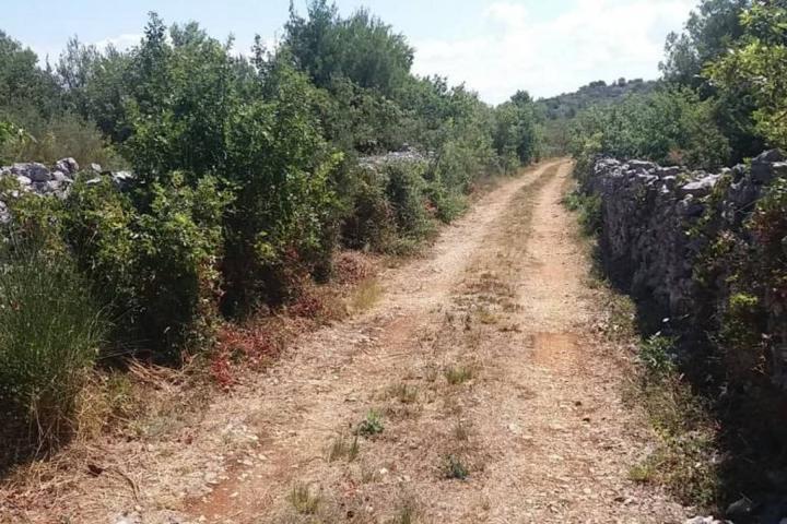 Vodice, uređeno poljoprivredno zemljište, 15. 998 m2